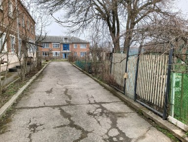 Как провести зимний вечер: гречневые котлеты и прогулка с животными