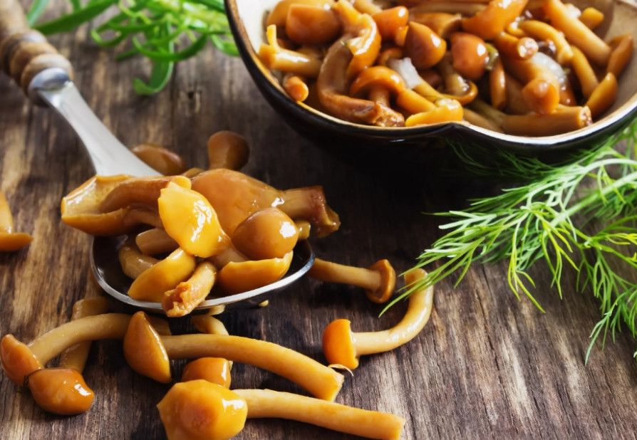 ��� ��������� ������� ������� ���� �� ����: ����� ������� �������