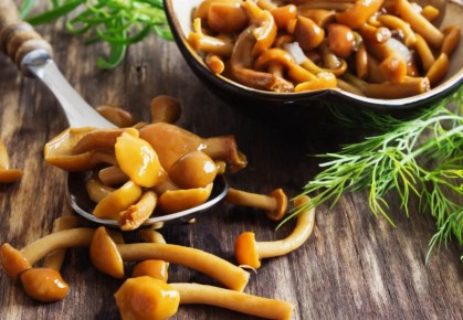 Как сохранить осенние грибные дары на зиму: самые вкусные рецепты