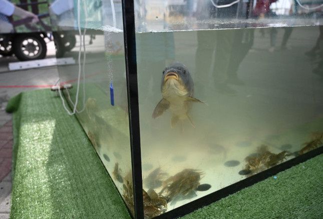 ����������� ������� ������� ����� ��� �������� �����: ��� ���������?