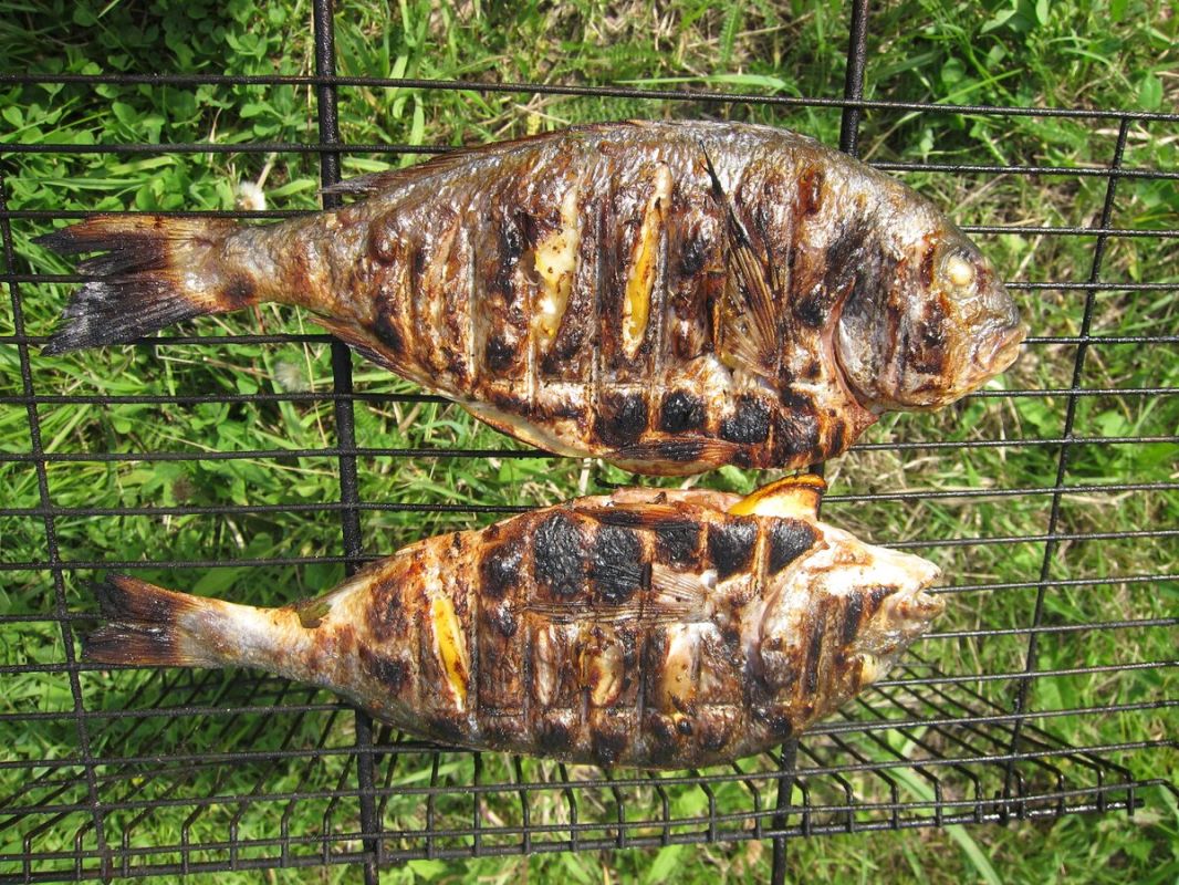 ��������� ������ �� ����� � ����������� ���������