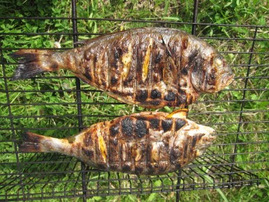 Ароматная дорада на гриле с петрушечным маринадом