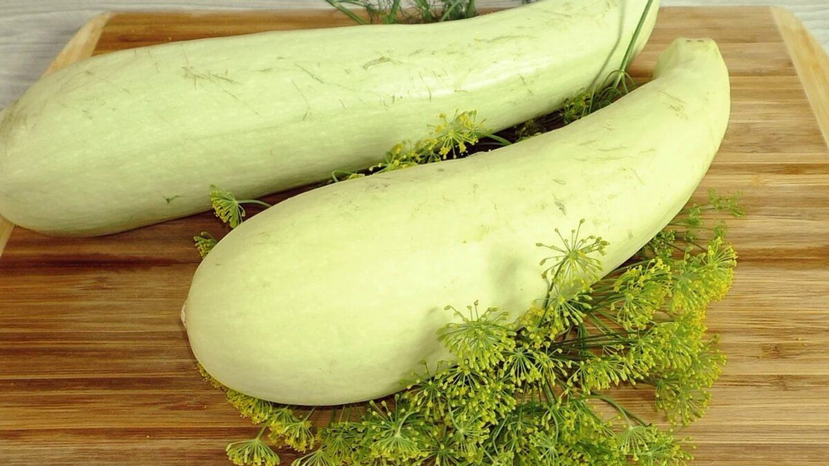 ������� ��������: ��� ����������� ��������� ������ ����� �� ������ ������