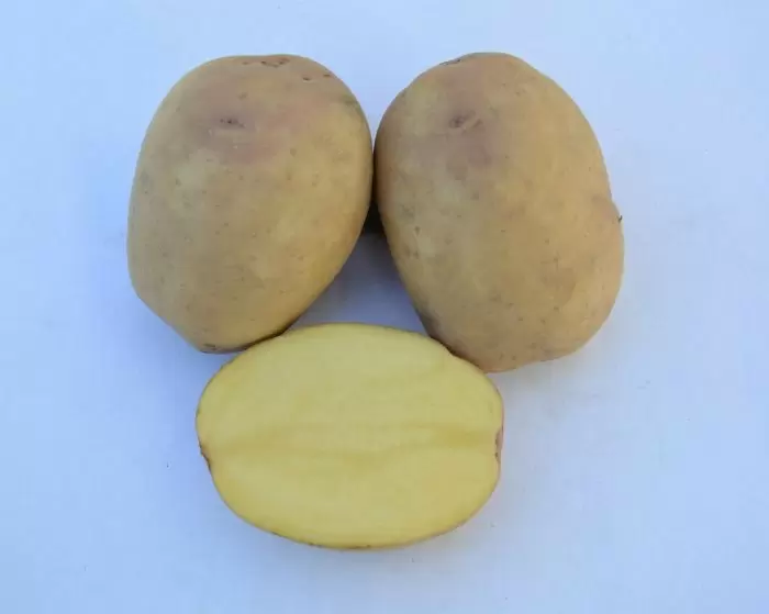 Почему картофель Мастак станет вашим новым фаворитом на кухне