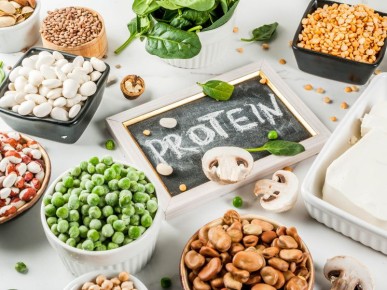 ������ ���� ���������� ������ �������� � ������� ������������ ��������