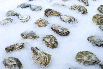 ������� � ����������: ��� ����� ����� � ������ ��������� �����������