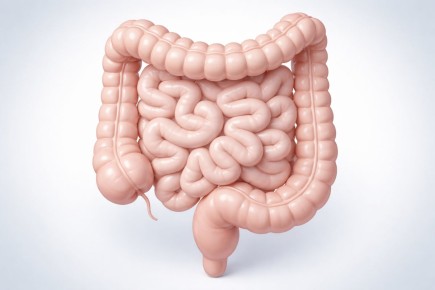 ��������, ������� ��������� �������� ���������: ������ ��������