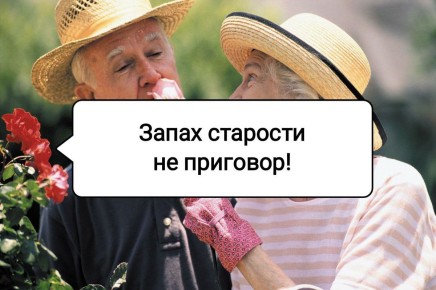 ��� ��������� �������� � ����� ��������: ������ �� ������� �����������