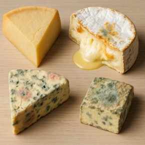 ��� ����������, ������ �� ���: ������� ������ ����� � ������ �� ��������