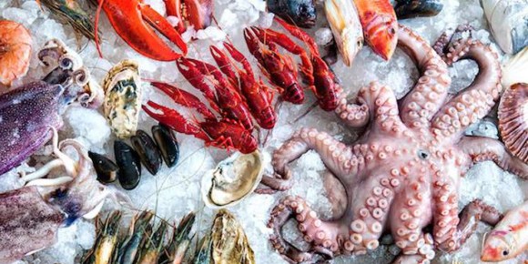 ���� ������: ��� ����� ����������� �� ������ ����