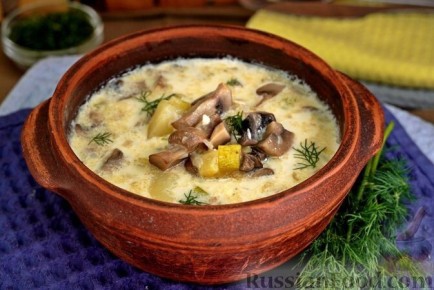 ����, ������� ������� ����: ������� ��� ������� ������