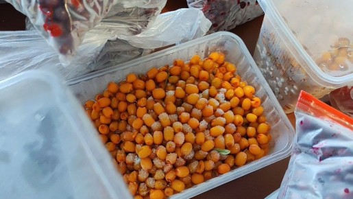 ��� ������������ ������������ ������ ����: ���������� ������� � ����� ����