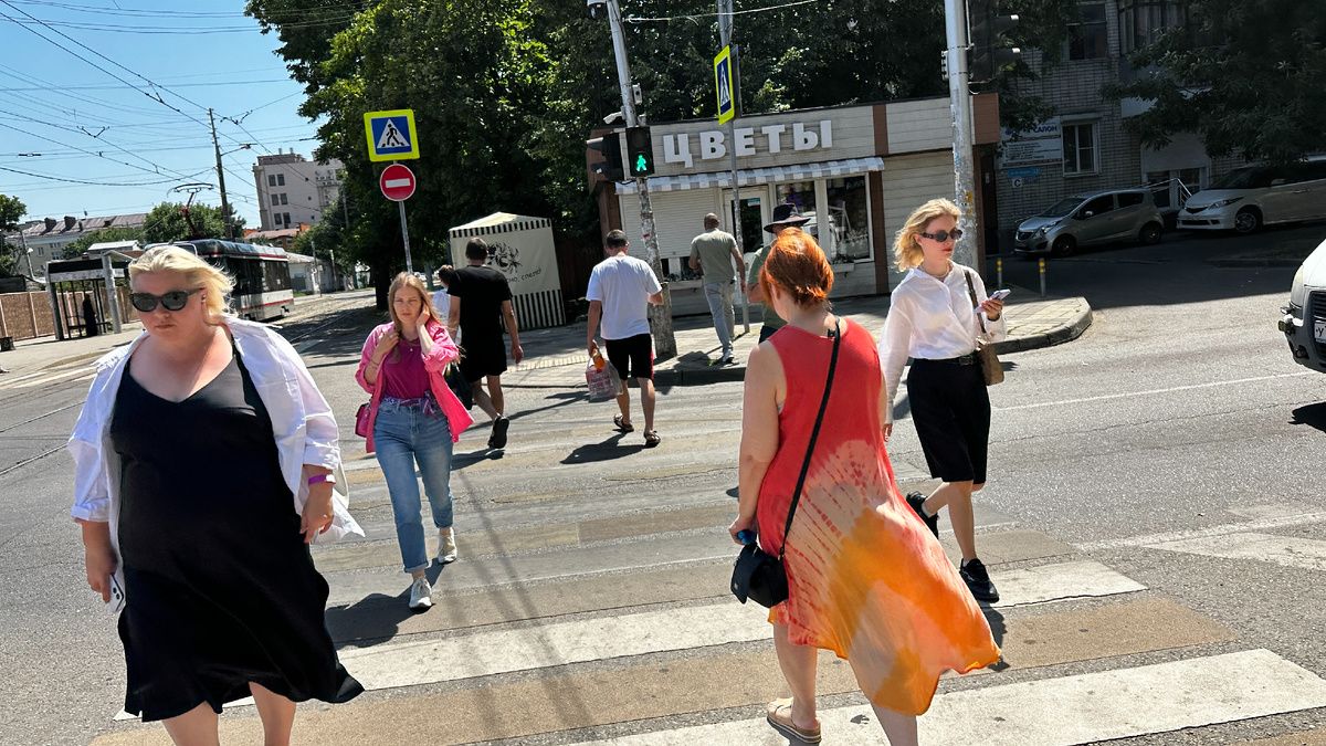Когда в ноябре в Краснодаре растут грибы