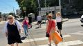 Когда в ноябре в Краснодаре растут грибы