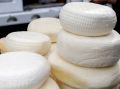 Сырный кризис: Что стоит за рекордными запасами молока в России