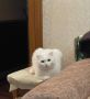 Когда жизнь подкидывает сюрпризы: день за день