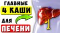Каши: Защитники Печени