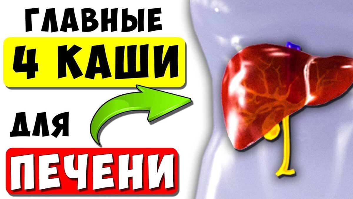 Каши: Защитники Печени