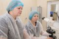 Фальсификации пищевых добавок: как обманывают сознательных потребителей